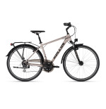 KELLY Carson 50 – rower 28"