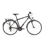 ALPINA ECO T10 Grey  28"