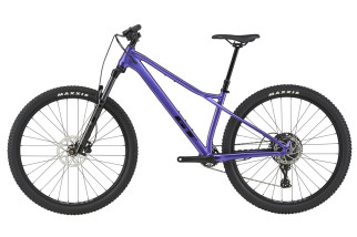 GT ZASKAR LT 29" COMP 2025 PUR