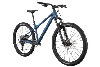 GT ZASKAR LT 29" ELITE 2025 DSB