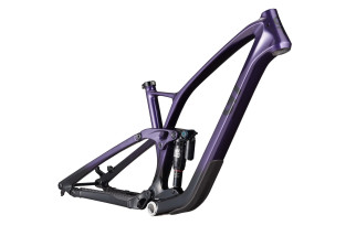 GT SENSOR CARBON A/M FRAME PUR