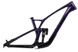 GT SENSOR CARBON A/M FRAME PUR